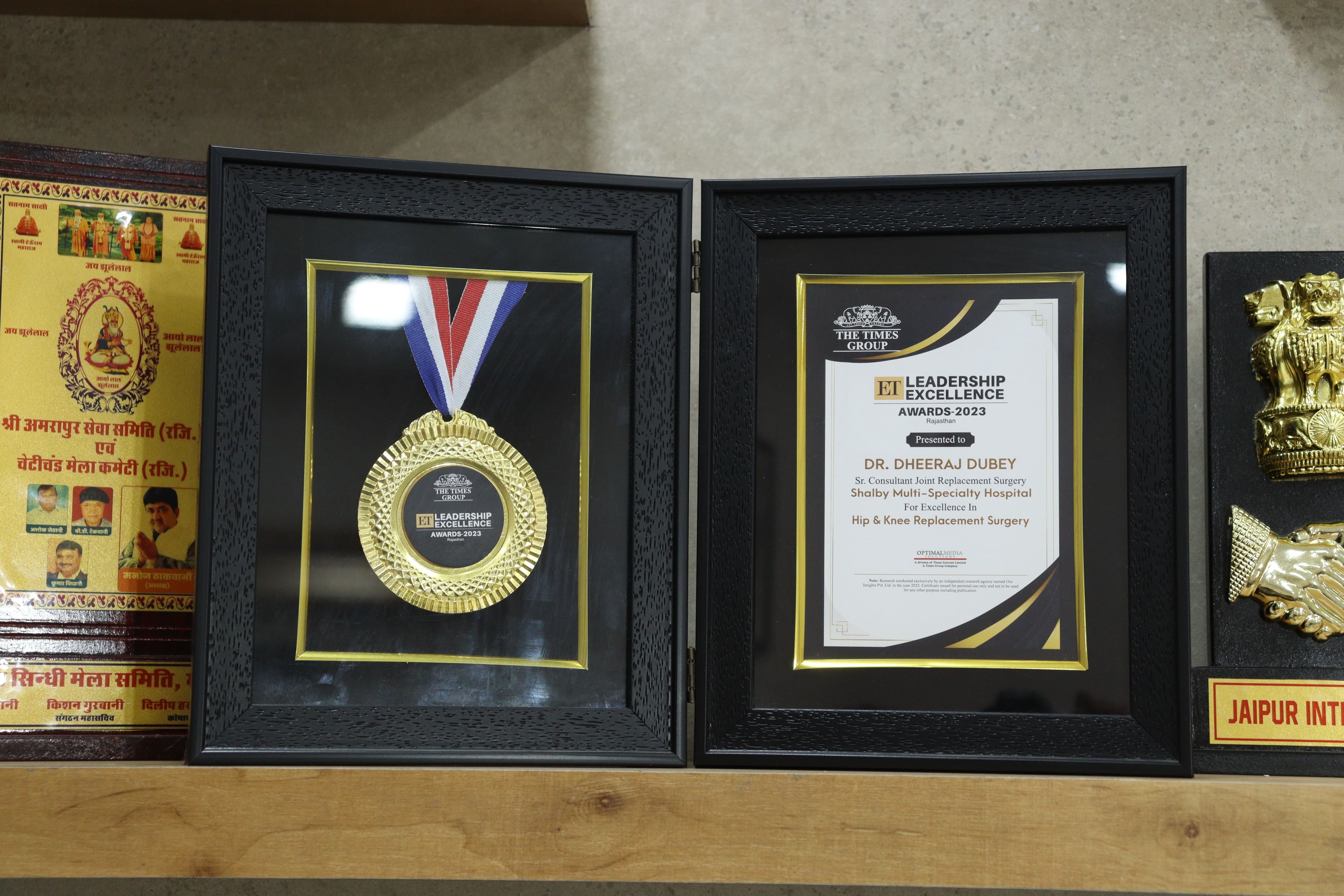 Excellence in Hip & Knee Replacement Surgery